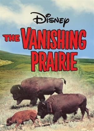 Rent The Vanishing Prairie Online DVD Rental