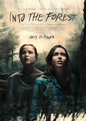 Rent Into the Forest Online DVD Rental