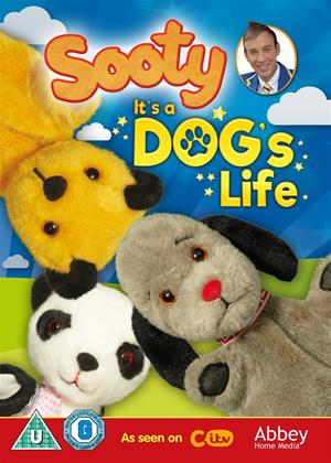 Rent Sooty: It's a Dog's Life Online DVD Rental