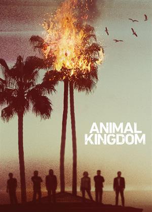 Rent Animal Kingdom: Series 2 Online DVD Rental