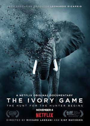 Rent The Ivory Game Online DVD Rental