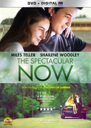 Rent The Spectacular Now Online DVD Rental