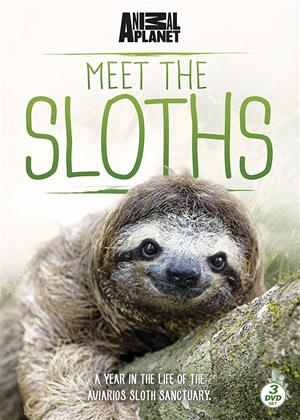 Rent Meet the Sloths Online DVD Rental