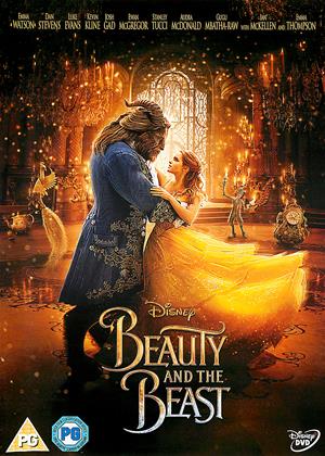 Rent Beauty and the Beast Online DVD & Blu-ray Rental