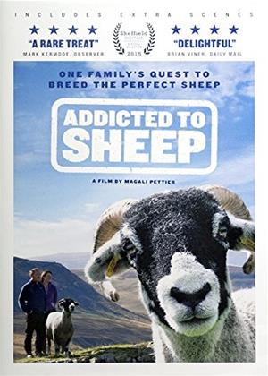 Rent Addicted to Sheep Online DVD Rental