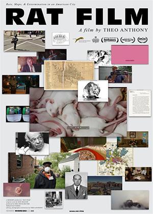 Rent Rat Film Online DVD Rental