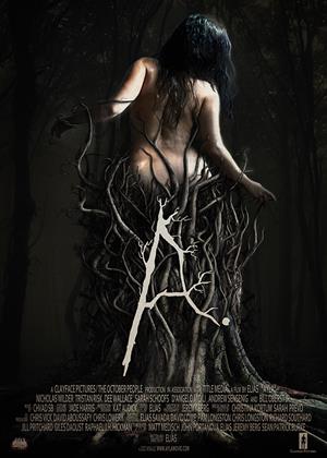 Rent Ayla Online DVD Rental