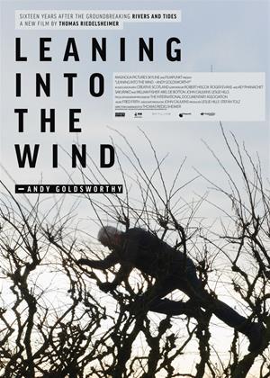 Rent Leaning Into the Wind (aka Leaning Into the Wind: Andy Goldsworthy) Online DVD Rental