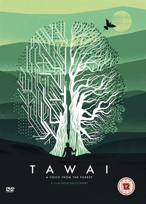 Rent Tawai: A Voice from the Forest Online DVD Rental
