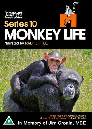 Rent Monkey Life: Series 10 Online DVD & Blu-ray Rental