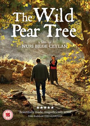 Rent The Wild Pear Tree (aka Ahlat Agaci) Online DVD Rental