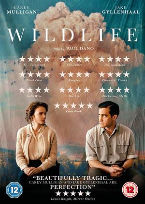 Rent Wildlife Online DVD Rental