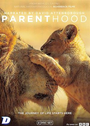 Rent Parenthood Online DVD & Blu-ray Rental