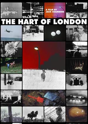Rent The Hart of London Online DVD & Blu-ray Rental