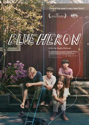 Rent Blue Heron (aka Mavi Balıkçıl) Online DVD & Blu-ray Rental