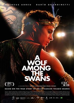 Rent A Wolf Among the Swans (aka Um Lobo Entre os Cisnes) Online DVD & Blu-ray Rental