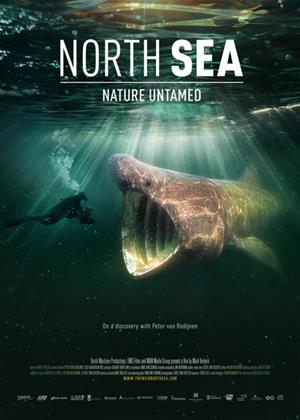 Rent North Sea, Nature Untamed (aka De wilde Noordzee) Online DVD & Blu-ray Rental